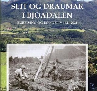 Boka «Slit og draumar i Bjoadalen» kom ut i 2021.