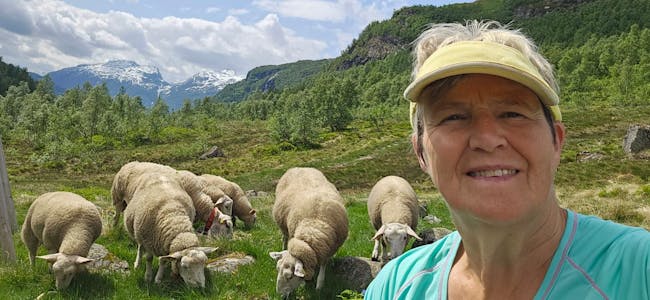 Åse Jorunn Blikra stiller villig opp når sauene skal på fjellbeite.
Foto: Privat