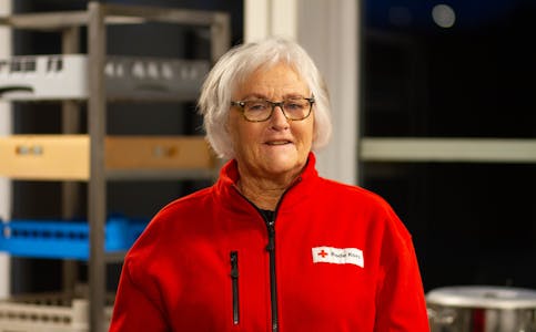 Berit Håland tar ansvar for å levera ut juleproviant på vegner av Etne Røde Kors. 
