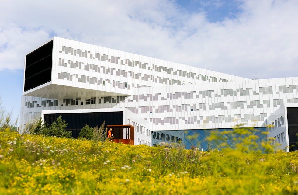 Regionkontoret til oljeselskapet Equinor på Fornebu. Selskapet er blant landets mest populære arbeidsgivarar. Foto: Frederik Ringnes / NTB