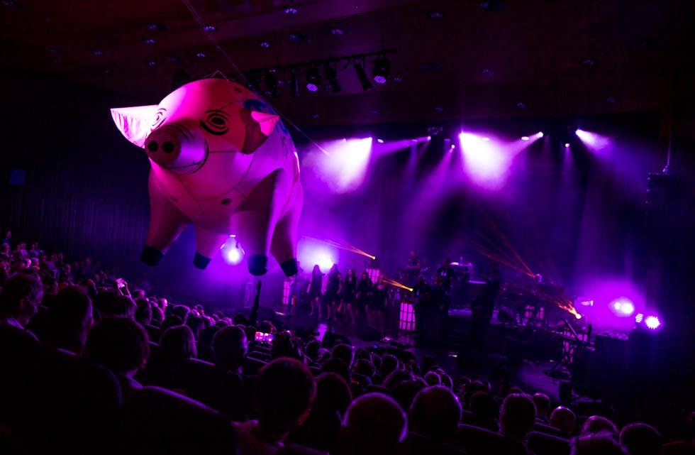 Den velkjende flygande grisen er med.