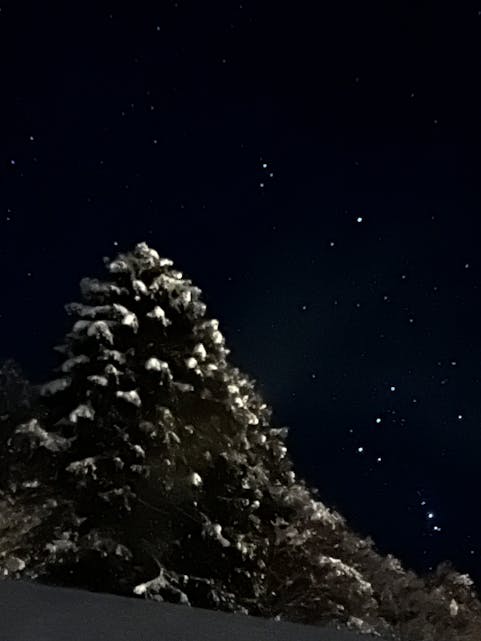 Stjernehimmel. Foto: Nina Grindheim                                                                                                      