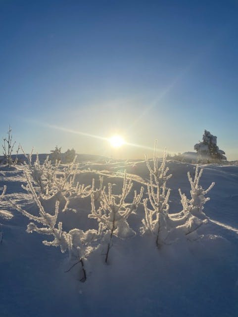 Sol og idylliske vinterforhold.
FOTO: MONA NORDTVEIT