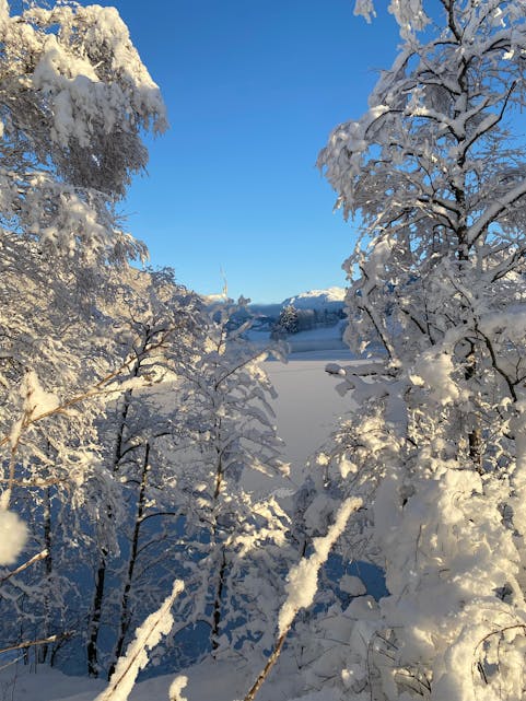 Nydeleg vinterlandskap langs stordalsvatnet! 
Foto: Marita Sævareid