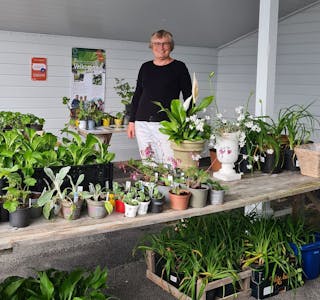 Leiar i Etne hagelag Marta Onstein på open hage med planteloppemarknad.
Foto: Privat