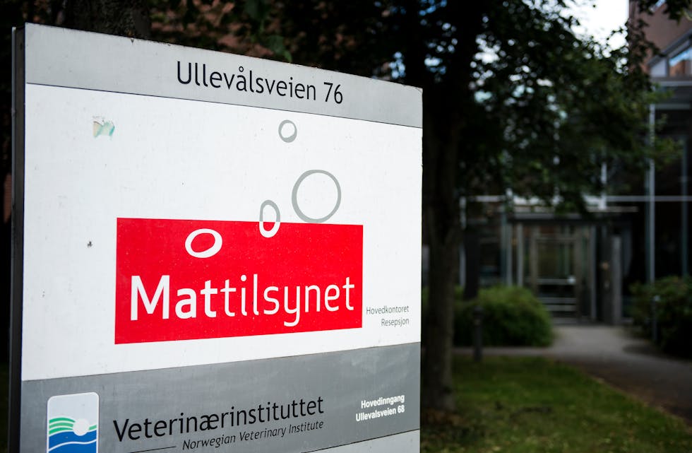 Mattilsynet i Oslo melder om at det er påvist ringorm fleire stader i Noreg. Foto: Carina Johansen / NTB / NPK