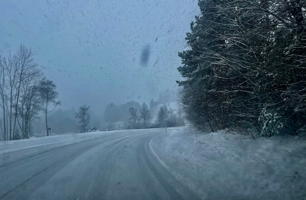 Det er ikkje mange dagane sidan det lava ned. No skal alt regna bort, og då ber politiet om hjelp
Arkivfoto: Grethe Hopland Ravn
