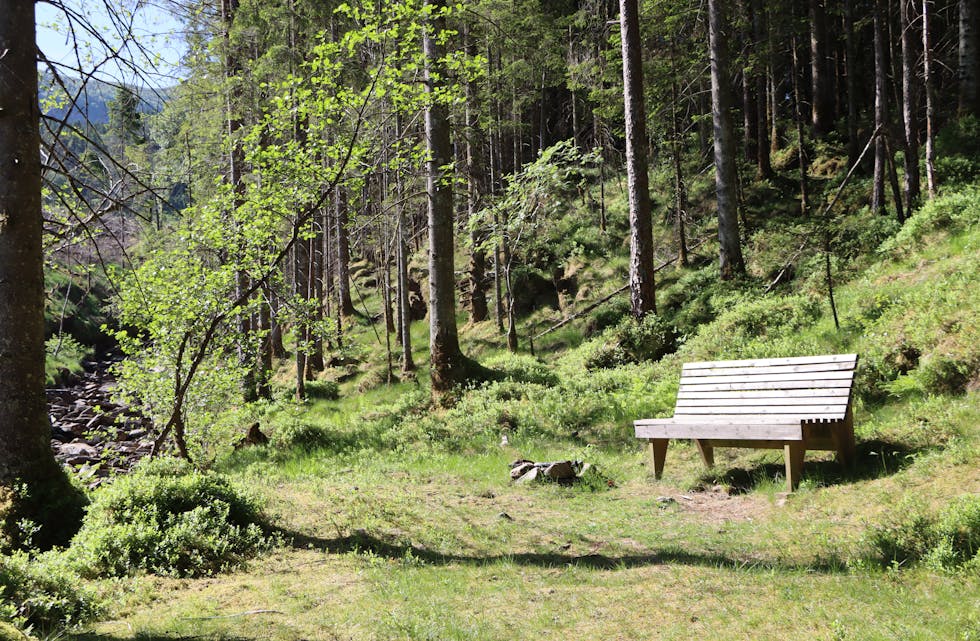 Det er sett ut mange benker langs postvegen Ølen-Etne.
Foto: Irene Mæland Haraldsen