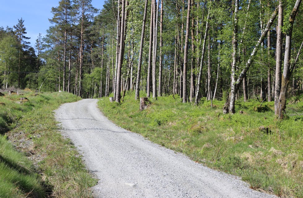 Postvegen Ølen- Meland.
Foto: Irene Mæland Haraldsen
