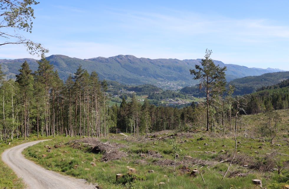 Postvegen Etne-Ølen byr på flott utsikt over Etne.
Foto: Irene Mæland Haraldsen
