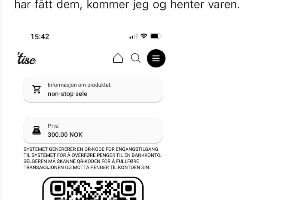 Dette er ein skjermdump av dialogen mellom ein svindlar og ein Sparebanken Norge-kunde. Svindlaren sende ein QR-kode som førte kunden til ei falsk nettside som stal kortinformasjonen til kunden. Foto: Sparebanken Norge